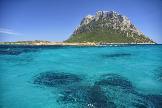Isola di Tavolara
Una delle isole pi&ugrave; belle presenti in Sardegna. I suoi ecosistemi marini e terrestri sono unici nel mediterraneo e la curiosa presenza di un regno con l'ultimo Re ancora in vita!