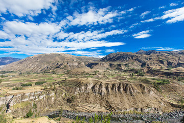 Naklejka premium Peru