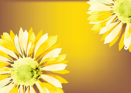 Sunflowers or zinnia yellow flowers on yellow background,vector illustraition