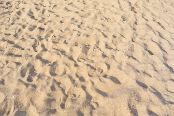 sand beach