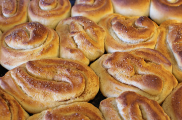 Cinnamon Rolls Closeup