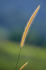 Broga Hill Malaysia..