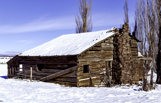 Abandoned Beauty