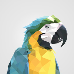 Fototapeta premium abstract colorful low polygon macaw parrot head. Vector illustration