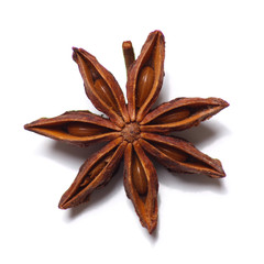 isolated star anise on the white background