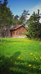 House in the green mountain field