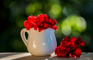 red Hibiscus rosa-sinensis flower or China rose