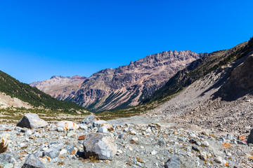 Beautiful View in Morteratsch Valley