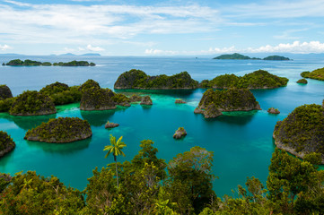 Many small green Islands belonging to Fam Island in the sea of Raja Ampat, Papua New Guinea