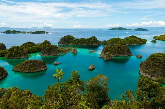 Many small green Islands belonging to Fam Island in the sea of Raja Ampat, Papua New Guinea