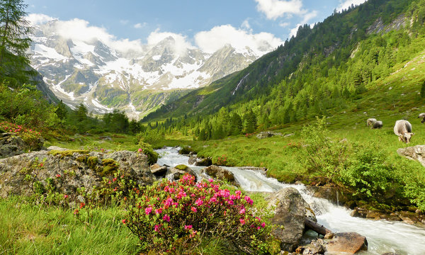 Panorama einer Alpenlandschaft