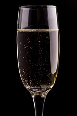 A glass of champagne on black background