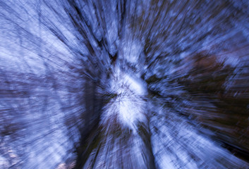 Abstract nature background - tree with zoom effect