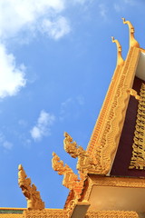 the roof-cambodia