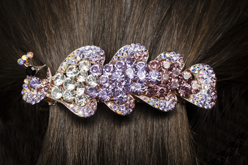 barrette in the hair