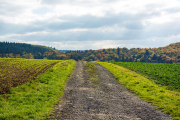 Weg in die Natur