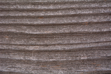 Fototapeta premium Nice old wood texture
