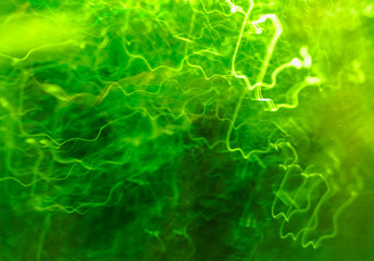 Abstract blurred background