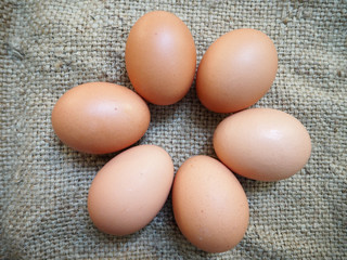 fresh chicken egg brown color