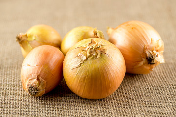 Macro closeup of freshly picked onions