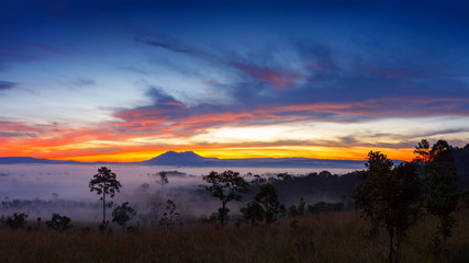 Misty morning sunrise at Thung Salang Luang National Park Phetch