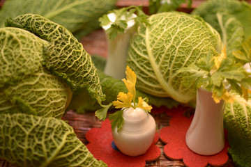 head cabbage , parsley stalks in white salt and pepper shakers on a support in the form of red flowers in a basket