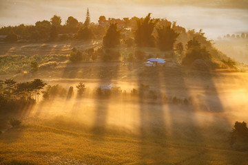 Misty morning sunrise in Khao Takhian Ngo View Point at Khao-kho