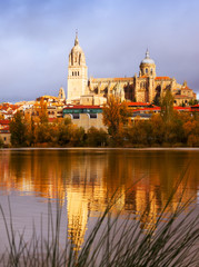 Fototapeta na wymiar Salamanca Cathedral from Tormes