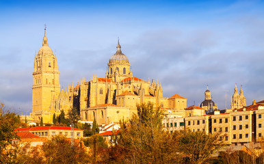 Fototapeta na wymiar Salamanca Cathedral in autumn
