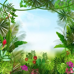 Tropical background beautiful 
