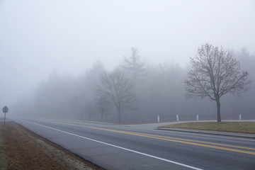 foggy street in winter morning