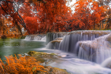 Fototapeta na wymiar Waterfall in rain forest at national park