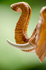 The elephant head made by plastic as a toy