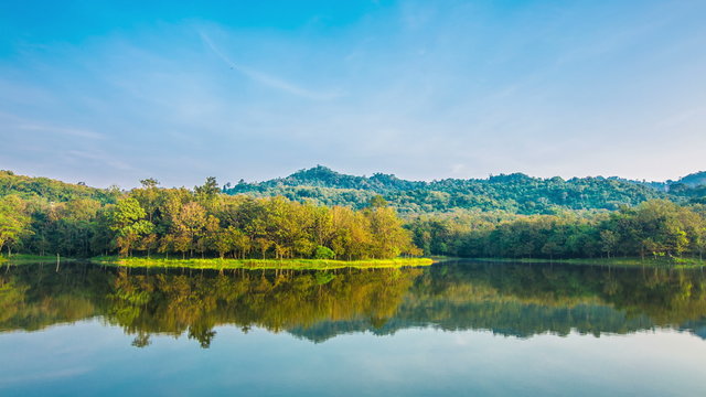 Water forests beautiful natural landscapes in Southeast Asia.