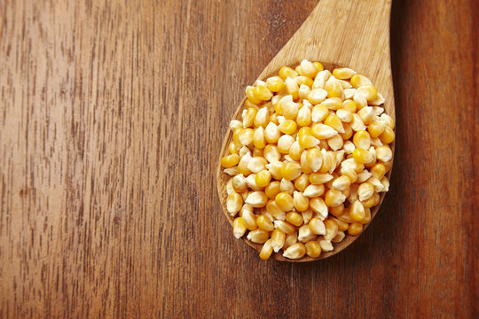 maize corn