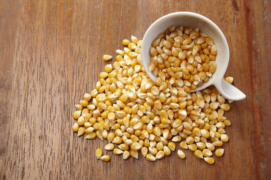 maize corn