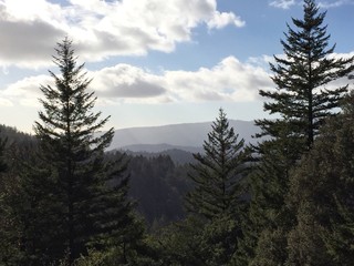 mountains and trees
