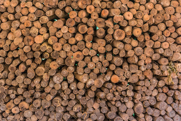 Firewood stacked up in a pile for kindle