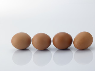 eggs