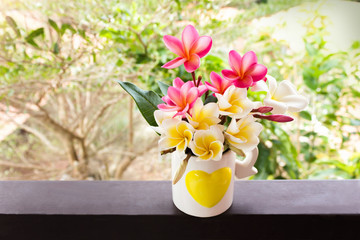 yellow flower plumeria or frangipani decorated in lovely heart 