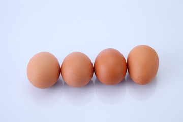 eggs