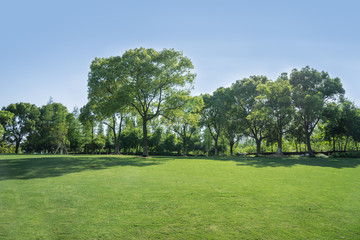 Lawn