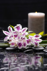Naklejka na ściany i meble Beautiful orchid with candle and therapy stones 