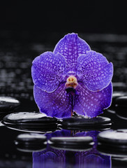 Beautiful purple orchid and therapy stones 