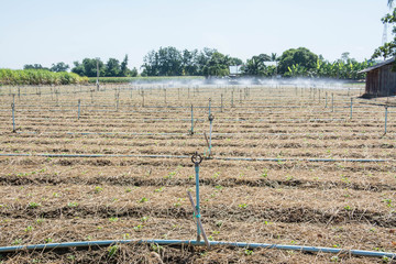 Irrigation systems in agricultural land