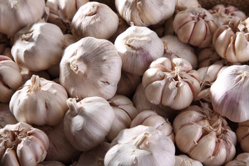 garlic