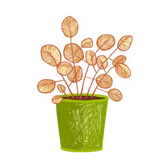 Indoor leafy plant in pot hand drawn illustration