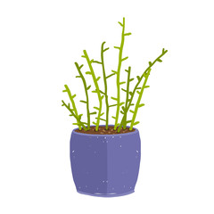 Green indoor leafy plant with stems in blue pot