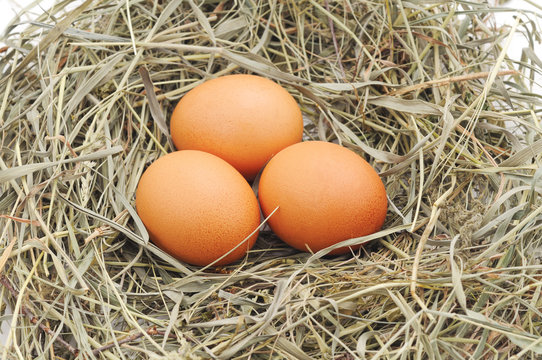 Three eggs in a nest.