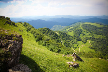 Nature